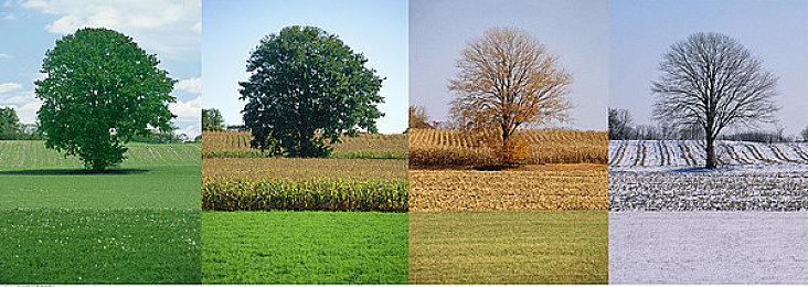 《木卫四协议》主机更新推出 XSX版新增光追反射